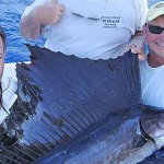 Picture-yellowfin-tuna-009